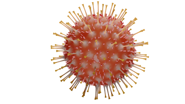 Corona-virus